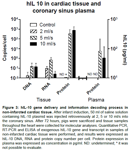 Clinical Experimental Cardiology Information Decoding Process