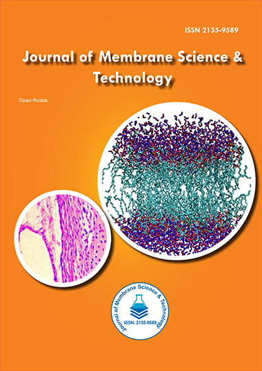 Membrane Permeability  List of High Impact Articles  PPts  Journals