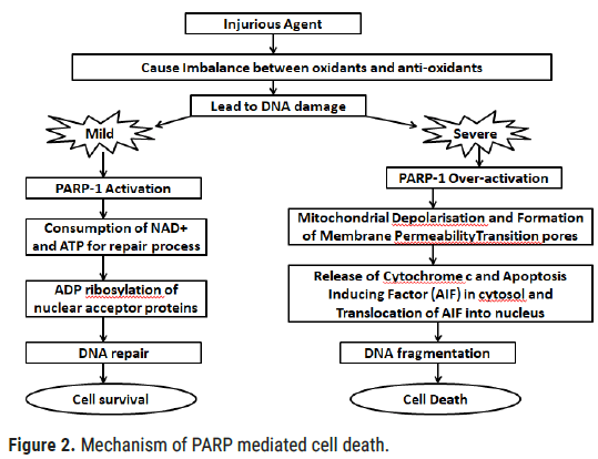 biology-todays-Mechanism