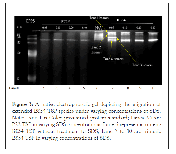 clinical-trials-electrophoretic