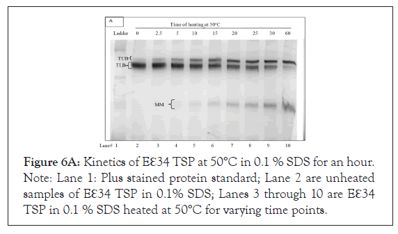 clinical-trials-unheated