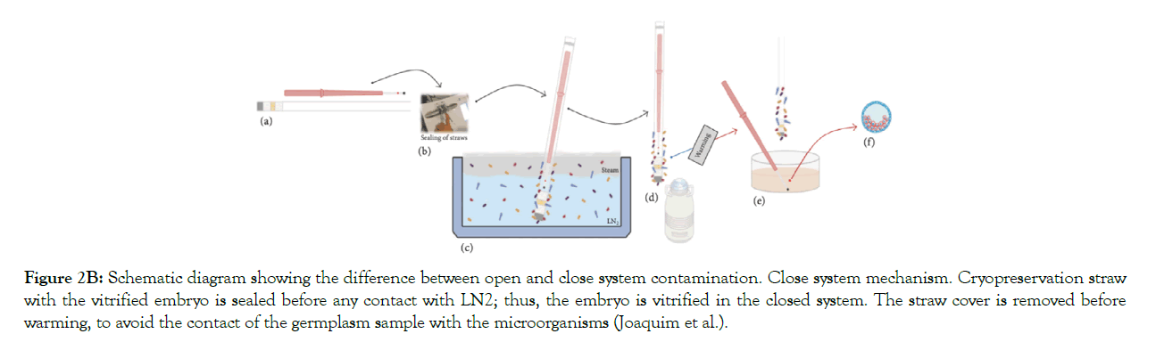 fertilization-system-mechanism