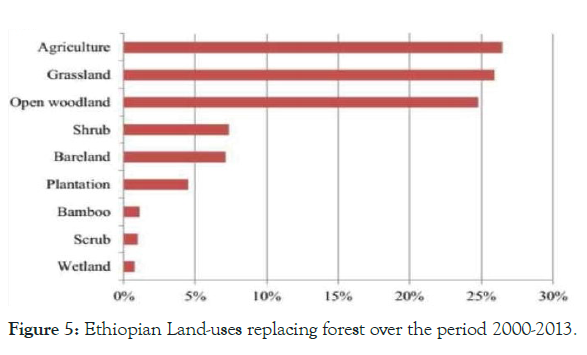 forest-research-ethiopian-land