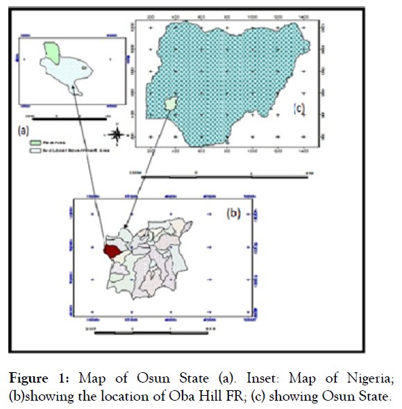 forest-research-oba-hill