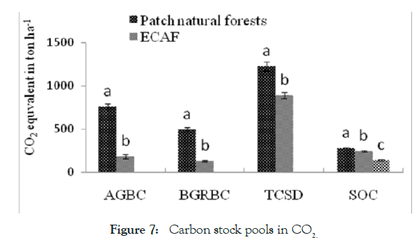 forest-research-stock-pools