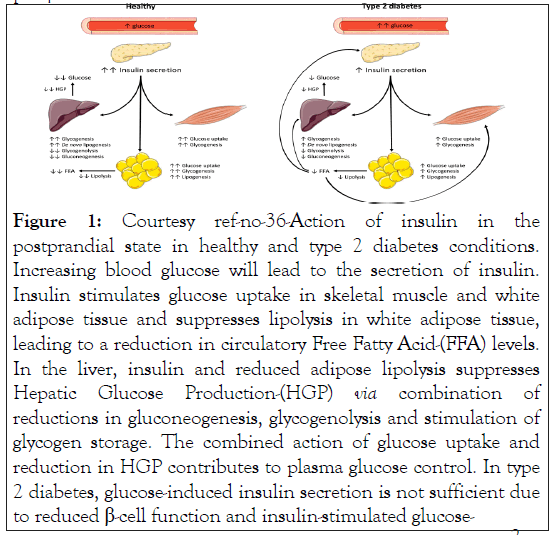 Glucose