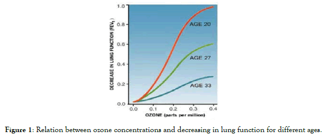 pollution-and-effects-ozone-concentrations