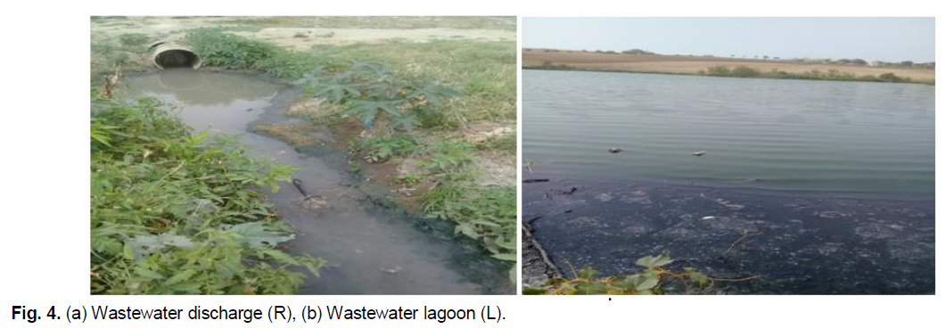 ukrainian-journal-ecology-wastewater-lagoon
