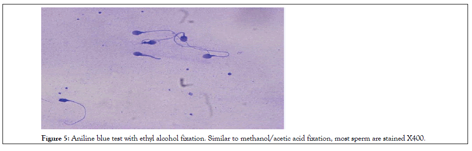 Andrology-methanol