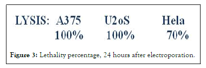 Chemotherapy-percentage