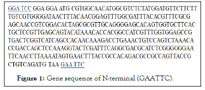 Chemotherapy-sequence