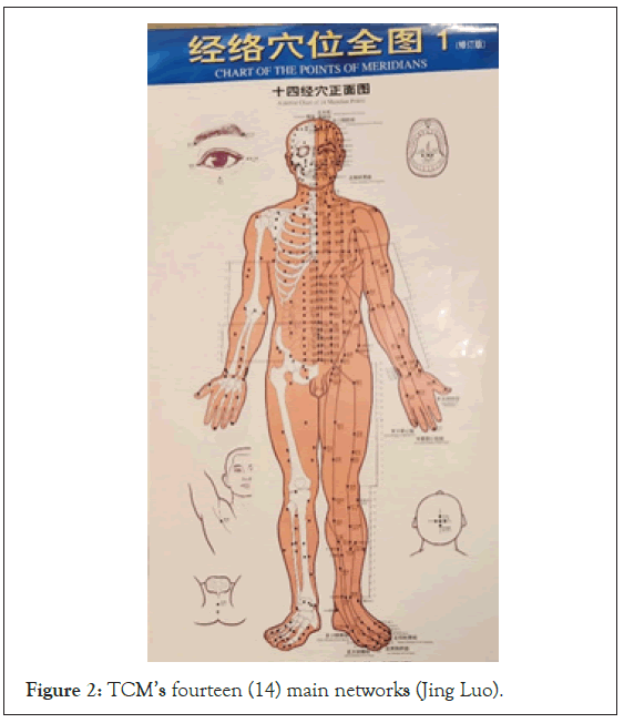 Clinical-networks