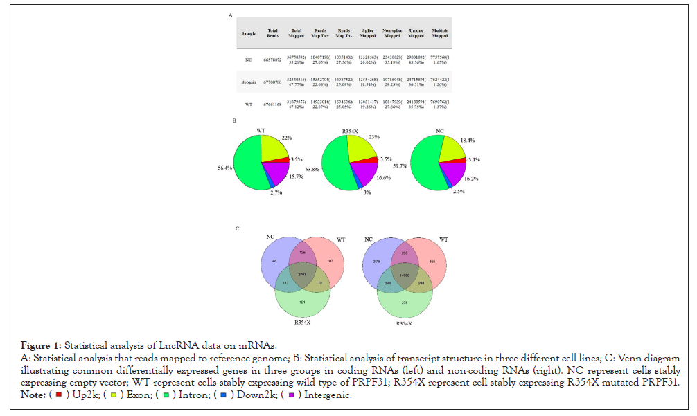 Immunotherapy-LncRNA