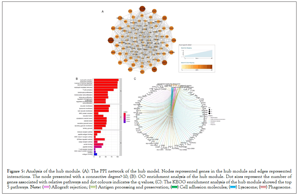 network