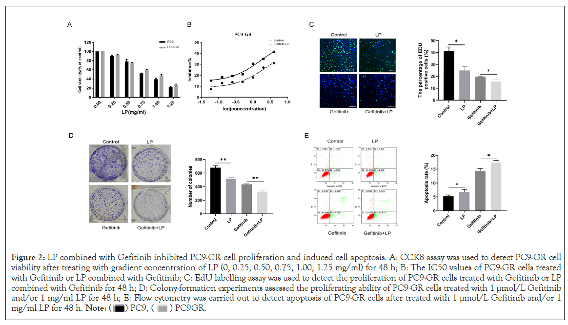 Immunotherapy-proliferation