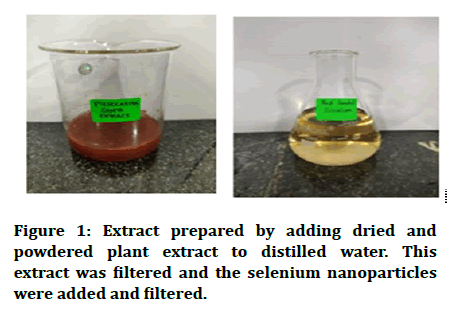 Jrmds-selenium