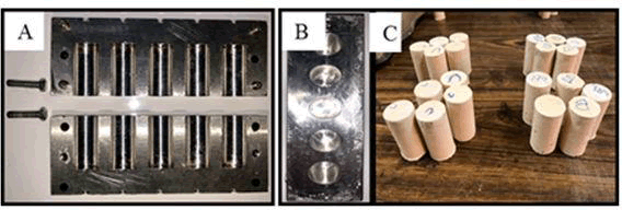 Medical-Dental-mold