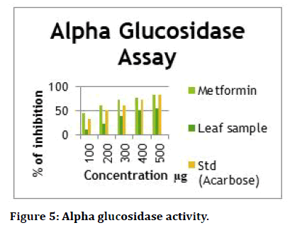 Medical-glucosidase