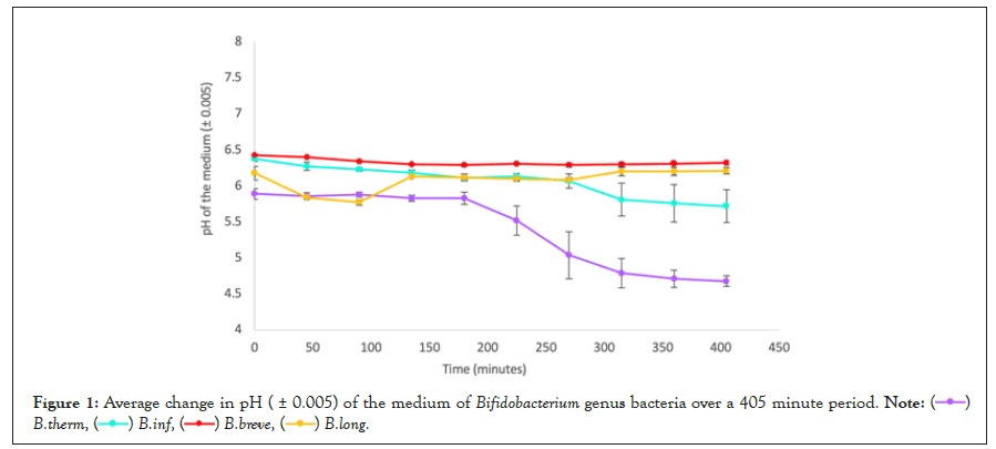 Bifidobacterium