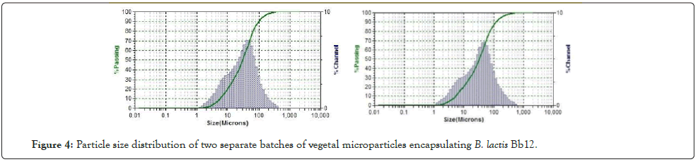 vegetal