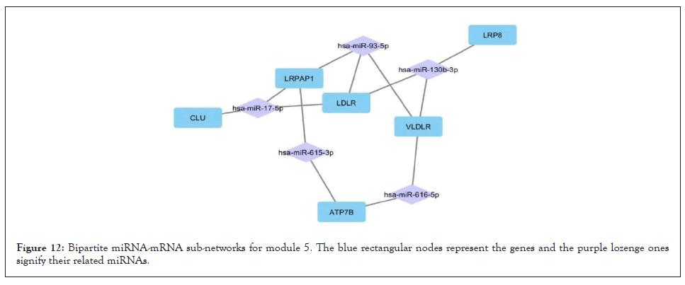 Node