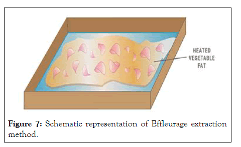 EFFLEURAGE