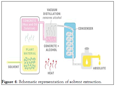 SOLVENT