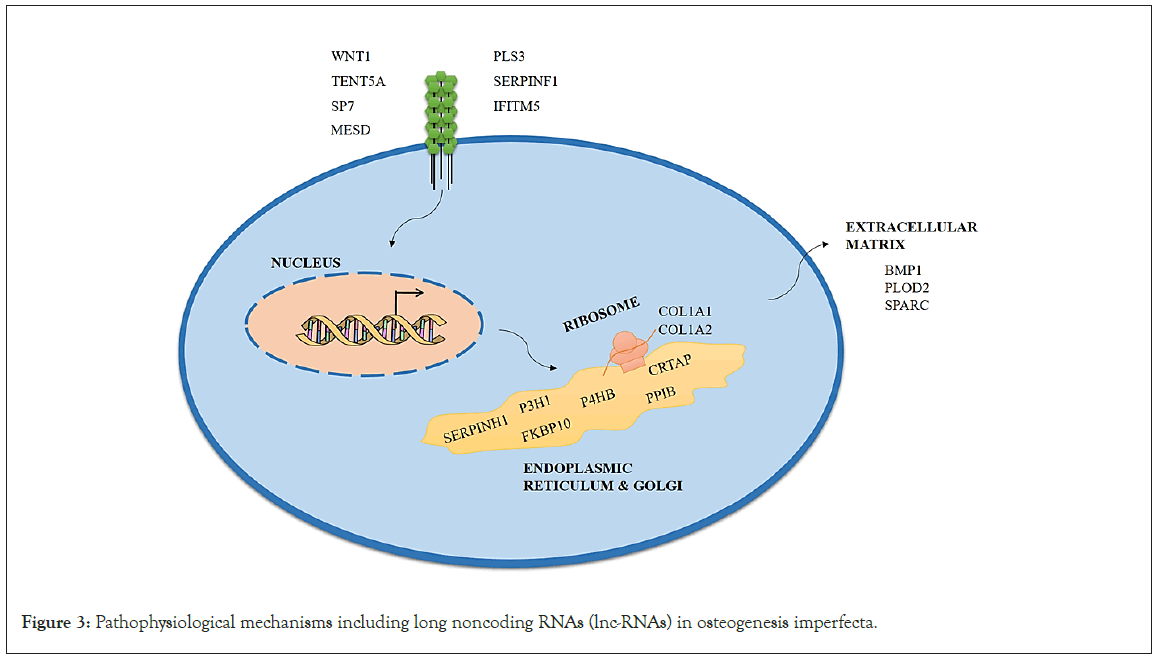 Pathophysiological