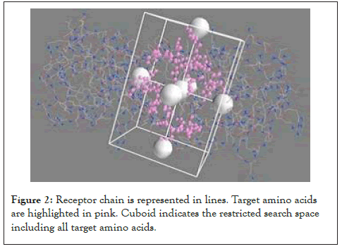 enzyme-chain