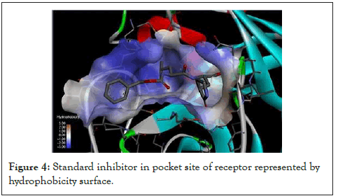 enzyme-inhibitor