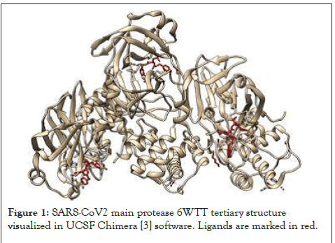 enzyme-protease