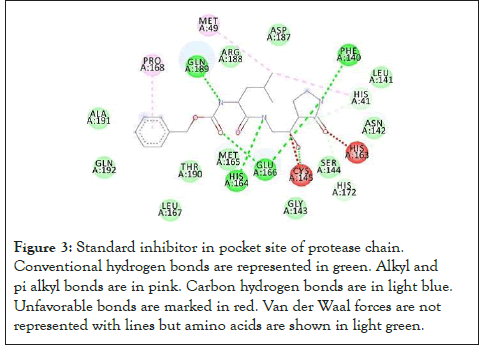 enzyme-standard