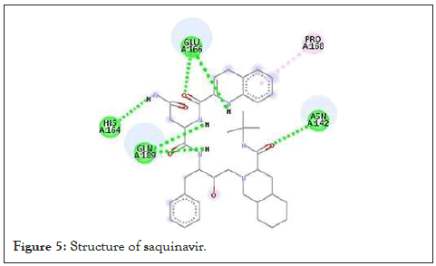 enzyme-structure