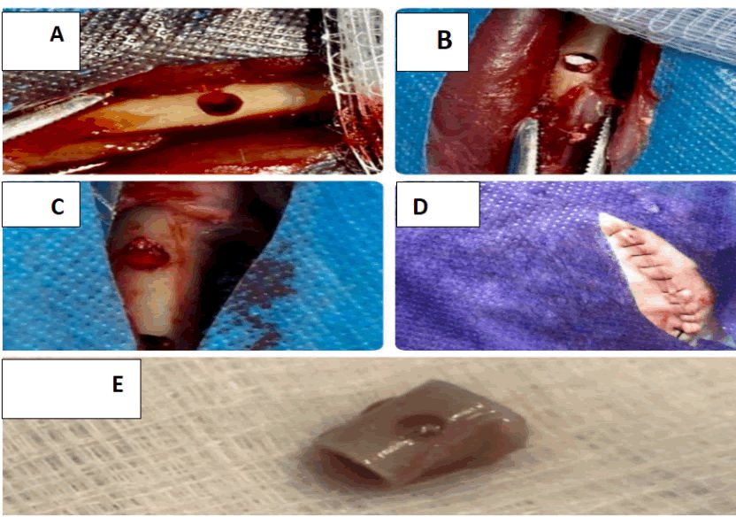 medical-dental-science