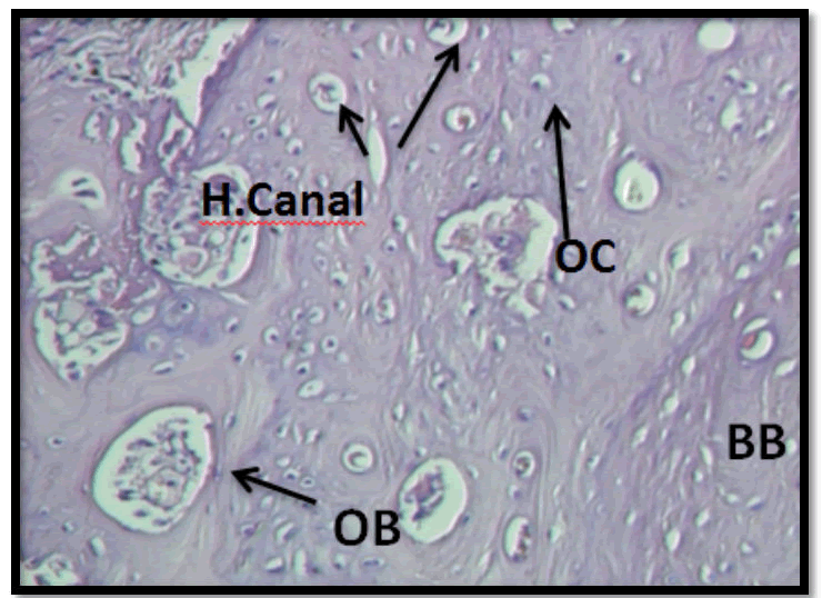 medical-dental-science