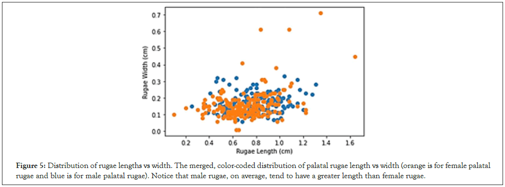 odontology-rugae-distribution-of-palatal