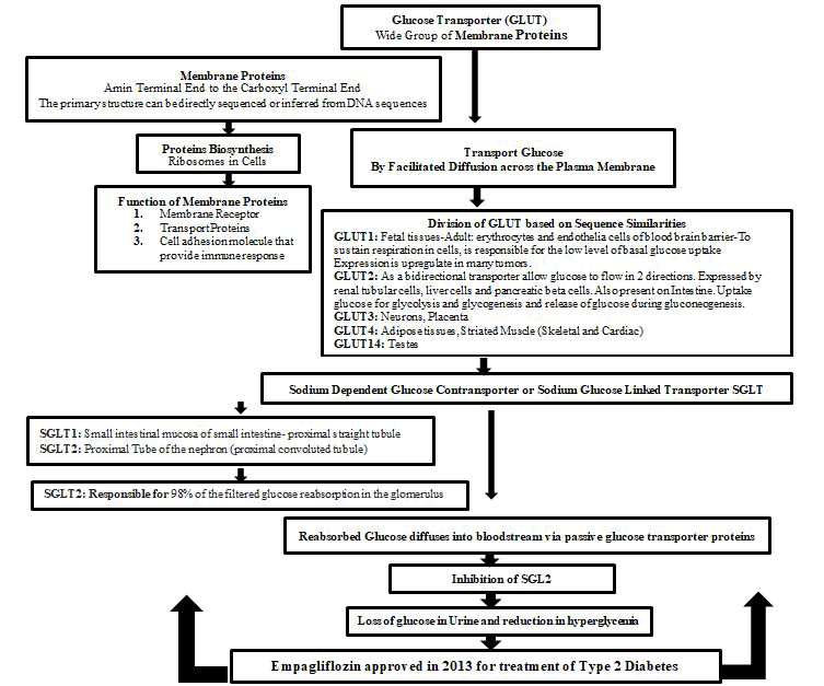 pharmacological-reports-empagliflozin