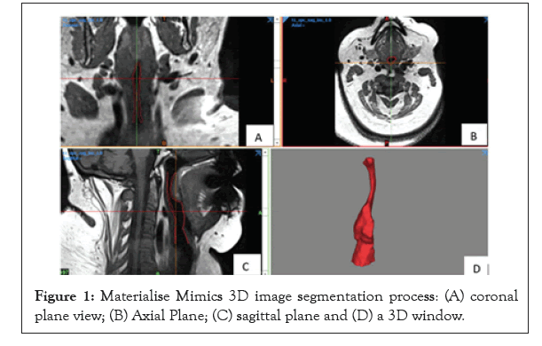 physical-medicine-segmentation