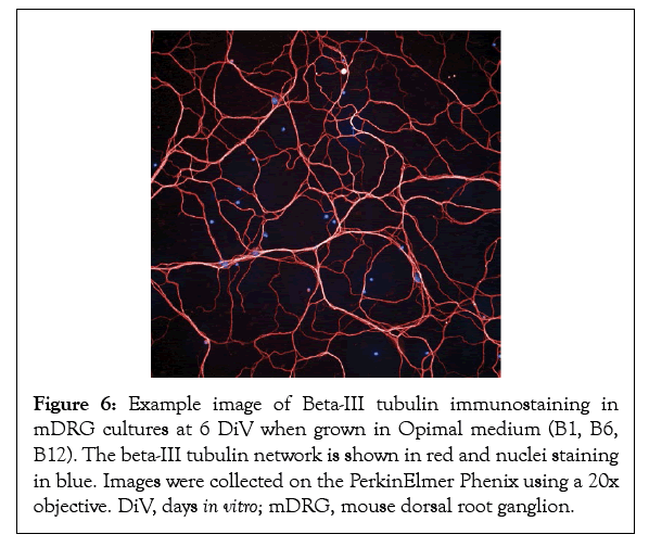 physical-medicine-tubulin