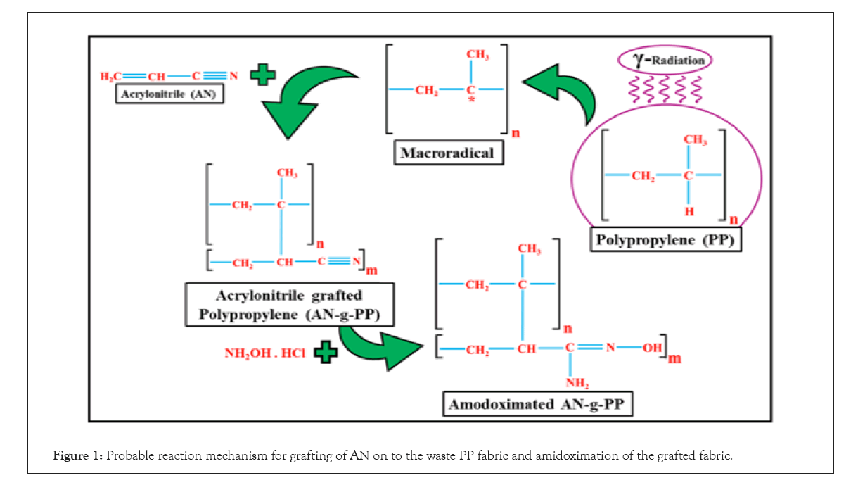 thermodynamics-catalysis-grafting