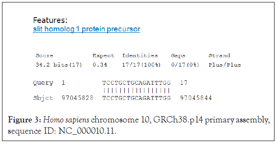 chromosome