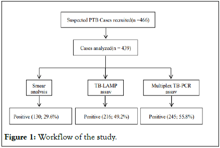 Applied-Microbiology-Workflow