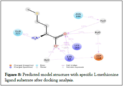 Enzyme-Engineering