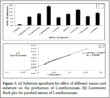 Enzyme-Engineering