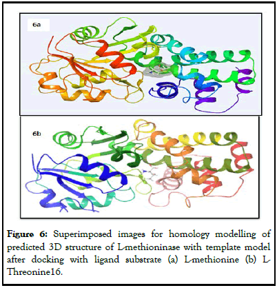 Enzyme-Engineering