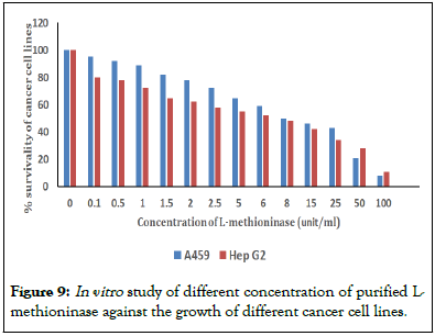 Enzyme-Engineering