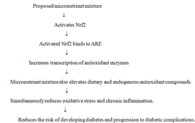 Journal-Nutrition-Food-Sciences-Diagrammatic