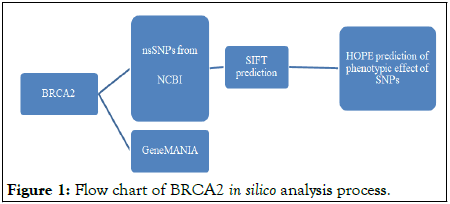 Proteomics-Bioinformatics-BRCA2