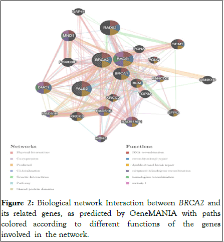 Proteomics-Bioinformatics-Biological