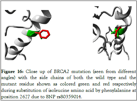 Proteomics-Bioinformatics-Close